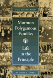 bokomslag Mormon Polygamous Families