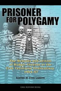 bokomslag Prisoner for Polygamy