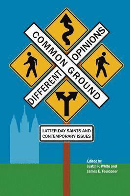 Justin F White, James E Faulconer - Common Ground-Different Opinions, Häftad