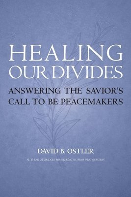 bokomslag Healing Our Divides