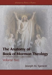 bokomslag The Anatomy of Book of Mormon Theology