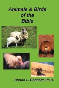 bokomslag Animals and Birds of the Bible