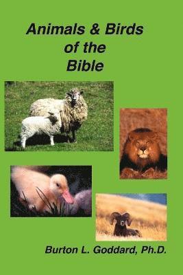 Animals and Birds of the Bible 1