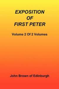 bokomslag Exposition of First Peter, Volume 2 of 2
