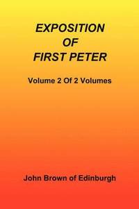bokomslag Exposition of First Peter, Volume 2 of 2