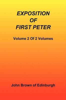 bokomslag Exposition of First Peter, Volume 2 of 2