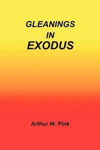 bokomslag Gleanings in Exodus