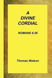 bokomslag A Divine Cordial - Romans 8