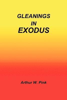 bokomslag Gleanings in Exodus
