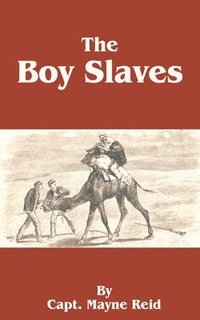 bokomslag Boy Slaves