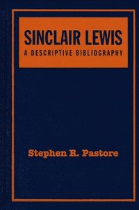 bokomslag Sinclair Lewis