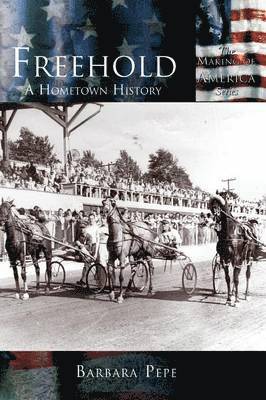 bokomslag Freehold