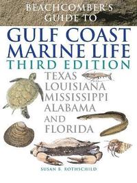 bokomslag Beachcomber's Guide to Gulf Coast Marine Life