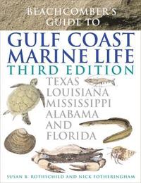 bokomslag Beachcomber's Guide to Gulf Coast Marine Life