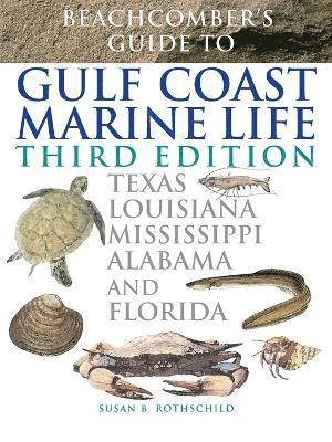 bokomslag Beachcomber's Guide to Gulf Coast Marine Life