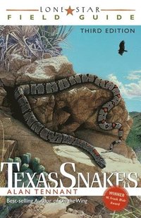 bokomslag Lone Star Field Guide to Texas Snakes