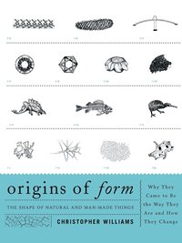 bokomslag Origins of Form