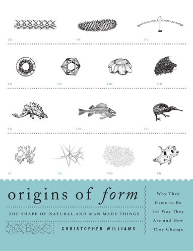 Christopher Williams - Origins of Form, Häftad