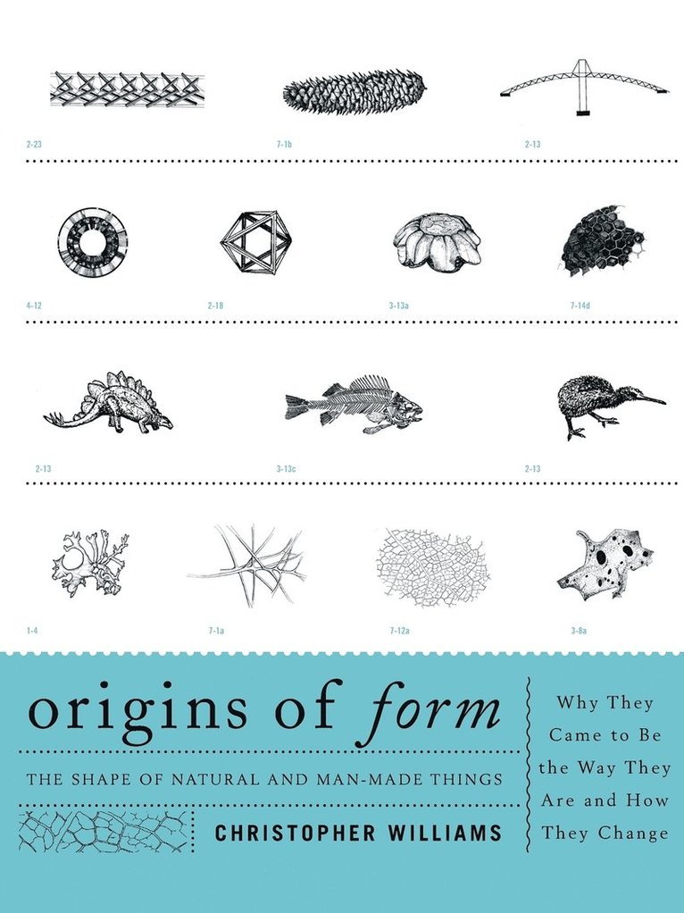 Origins of Form 1