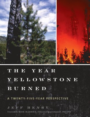 bokomslag The Year Yellowstone Burned