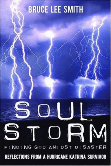 bokomslag Soul Storm