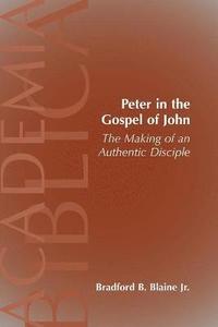 bokomslag Peter in the Gospel of John