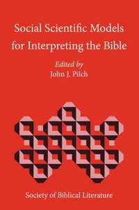 bokomslag Social Scientific Models for Interpreting the Bible