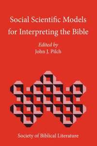 bokomslag Social Scientific Models for Interpreting the Bible