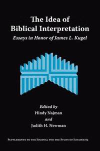 bokomslag The Idea of Biblical Interpretation