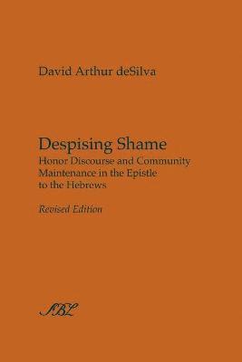 bokomslag Despising Shame