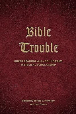 bokomslag Bible Trouble