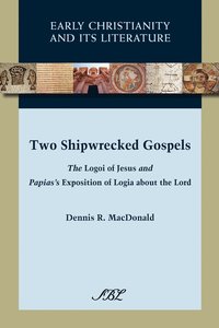 bokomslag Two Shipwrecked Gospels