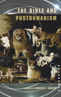 bokomslag Bible and Posthumanism
