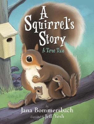 Squirrel's Story