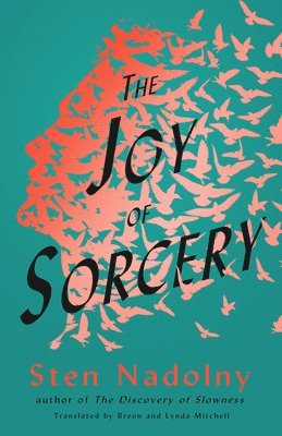 The Joy of Sorcery 1