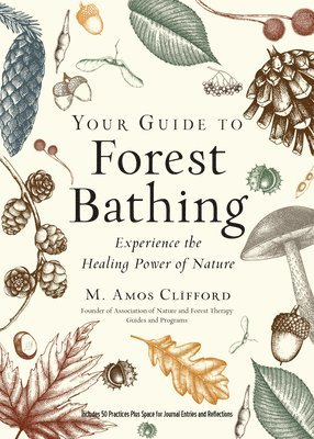 bokomslag Your Guide to Forest Bathing (Expanded Edition)