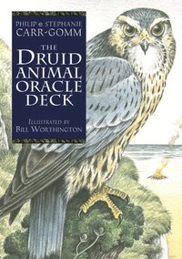 bokomslag The Druid Animal Oracle Deck