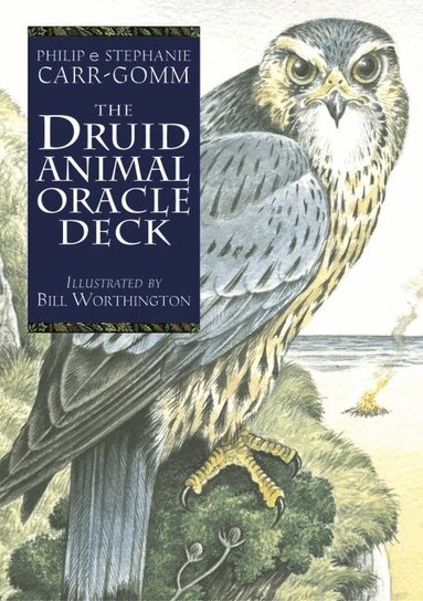 Philip Carr-Gomm, Stephanie Carr-Gomm - The Druid Animal Oracle Deck, Häftad