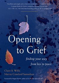 bokomslag Opening to Grief