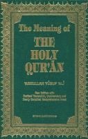 bokomslag Meaning of the Holy Qur'an