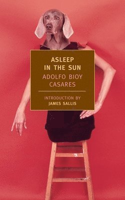 Adolfo Bioy Casares - Asleep in the Sun, Häftad