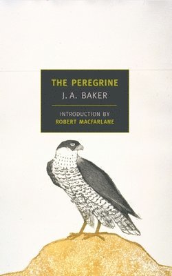 bokomslag The Peregrine