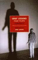 bokomslag Grief Lessons