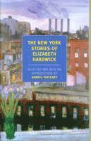 bokomslag New York Stories Of Elizabeth
