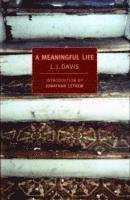 bokomslag Meaningful Life