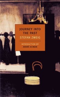 bokomslag Journey Into the Past