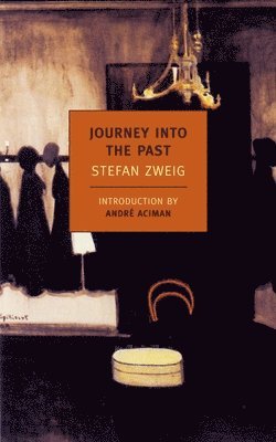 bokomslag Journey Into the Past