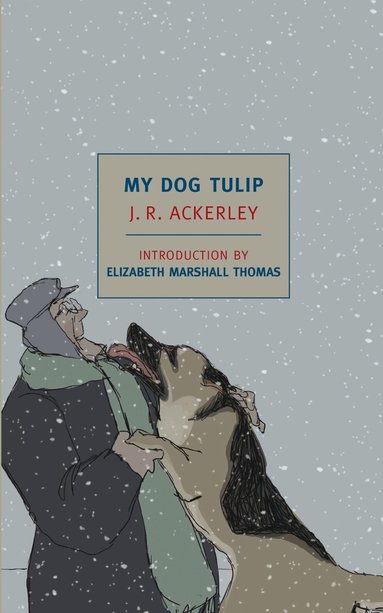 J. R. Ackerley - My Dog Tulip, Häftad