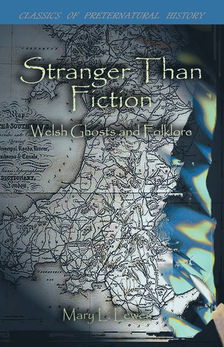 L Lewes, Mary - Stranger Than Fiction, Häftad