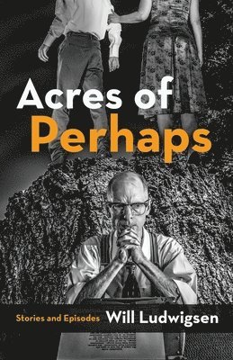 Will Ludwigsen - Acres of Perhaps, Häftad